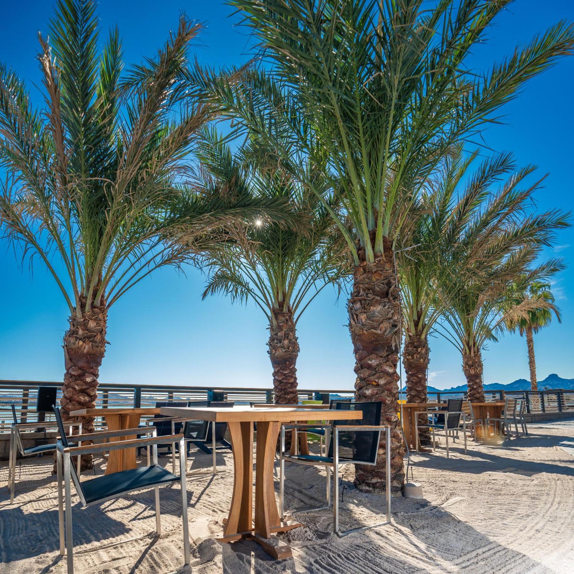 Resort The Nautical Beachfront Lake Havasu City