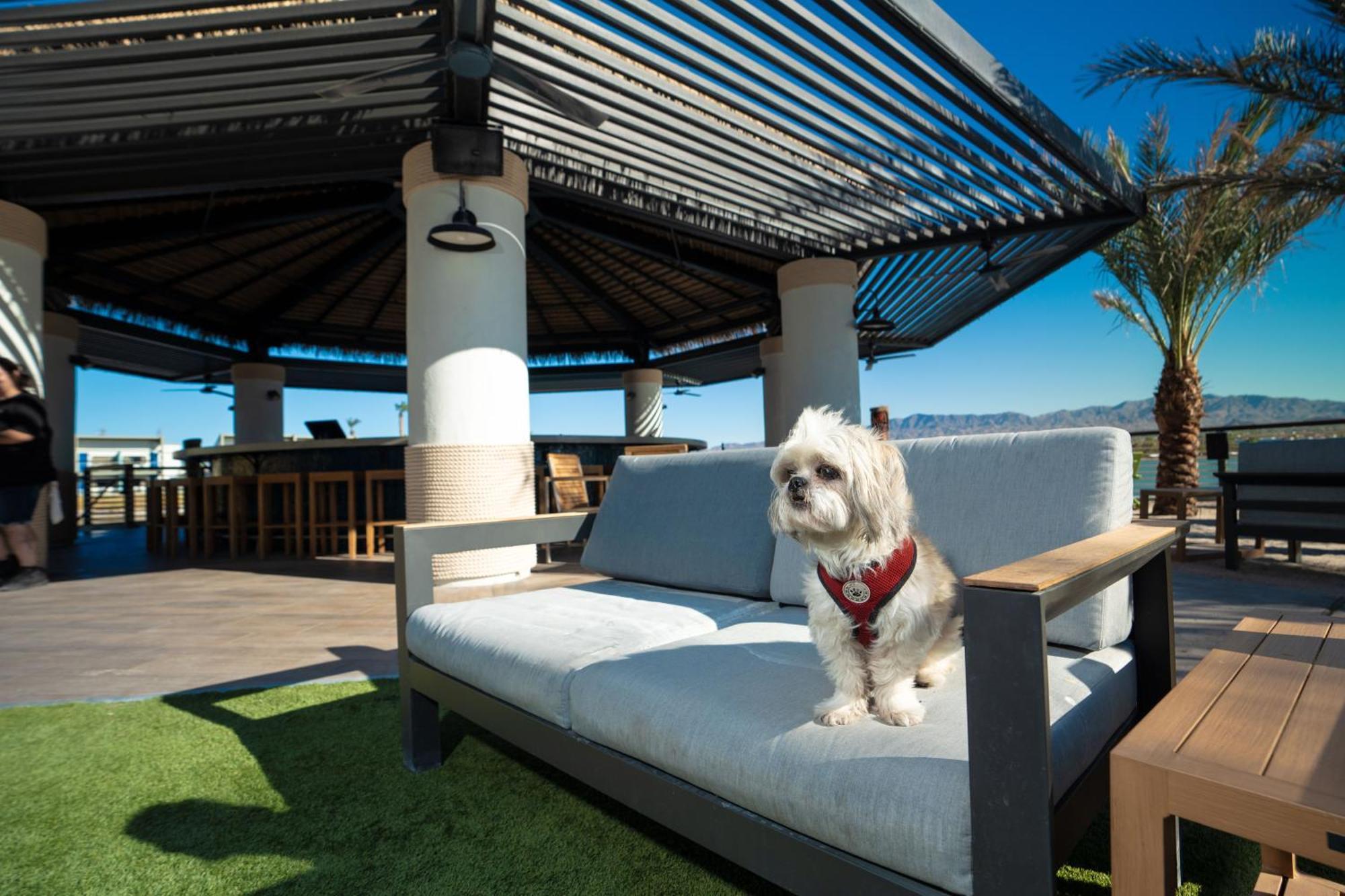 The Nautical Beachfront
